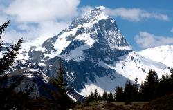 images/Fotos/Natur/Alpen/thumbs//Alp-Flix_DSC0313.jpg