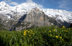 images/Fotos/Natur/Alpen/thumbs//Alpen-muerren_SVA9209.jpg