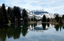 images/Fotos/Natur/Alpen/thumbs//Alpflix_DSC0128.jpg