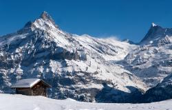 images/Fotos/Natur/Alpen/thumbs//Grindelwald-4.jpg