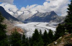 images/Fotos/Natur/Alpen/thumbs//farbspektrum-aletschgletscher.jpg
