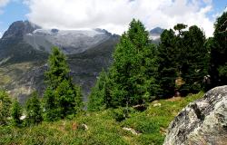 images/Fotos/Natur/Alpen/thumbs//farbspektrum-wald.jpg