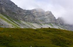 images/Fotos/Natur/Alpen/thumbs//felsen-DSC_8556.jpg